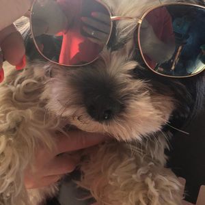 Meet your Posher, Lesley